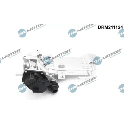 Dr.Motor Automotive AGR ventil DMA DRM211124