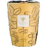 Baobab Collection Folia Garrigue Ароматна свещ, 24 см (MAX24FGAR)