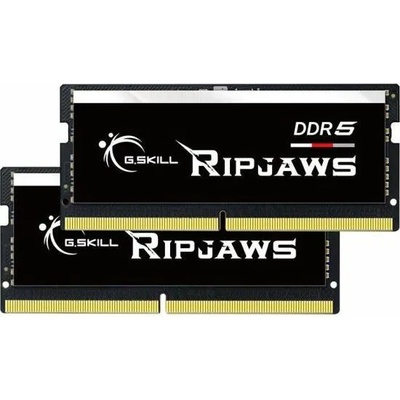 G.SKILL Ripjaws 64GB (2x32GB) DDR5 4800MHz F5-4800S3838A32GX2-RS