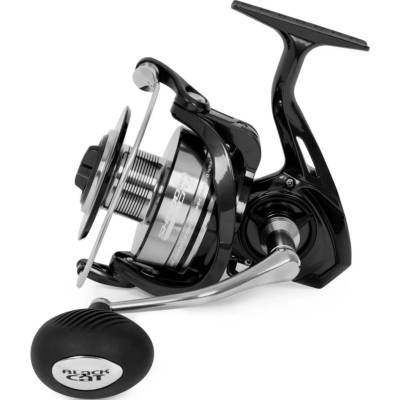 Black Cat Shadow Cat 6500
