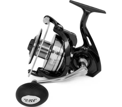 Black Cat Shadow Cat 6500