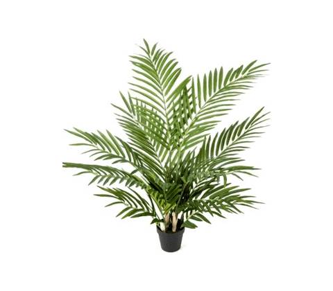 Areca Bush 130 cm
