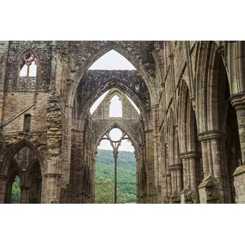 DIMEX ART s. r. o Флизелинов фототапет абатство тинтерн 375 x 250 см