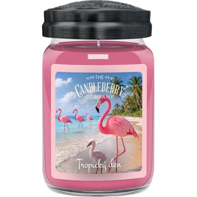 Candleberry Candle Tropický den 624 g
