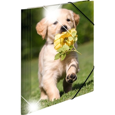 HERMA Папка Animals, картонена, с ластик, A4, PP, кучета (O1070380019)