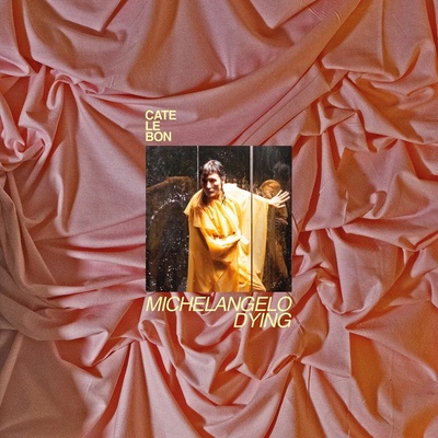 Cate Le Bon - Michelangelo Dying CD