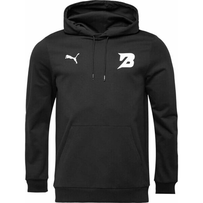 Puma TEAMGOAL CASUALS Hoodie BK PARDUBICE mikina černá