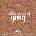 Textile Motifs of India