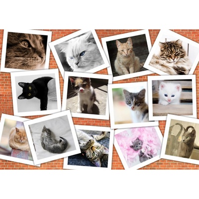 Grafika Cats II 1500 dielov