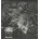 DARKTHRONE: GOATLORD LP