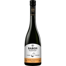 Baron Hildprandt Tradiční Blatenská Meruňkovice 50% 0,7 l (holá láhev)