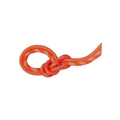 Mammut 9.8 Crag Classic 60 m