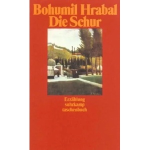 Die Schur (ISBN: 9783518381137)