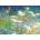 Cobble Hill - Puzzle Visiting the Meadow - 1 000 piese