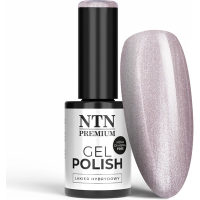 NTN Gél lak premium Day Dreaming 56 5 g