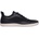 Willard EMBER 37
