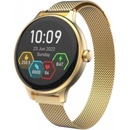 Image 1 of Carneo Hero mini HR+