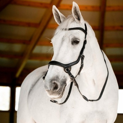 Horseware Micklem Bitless černá