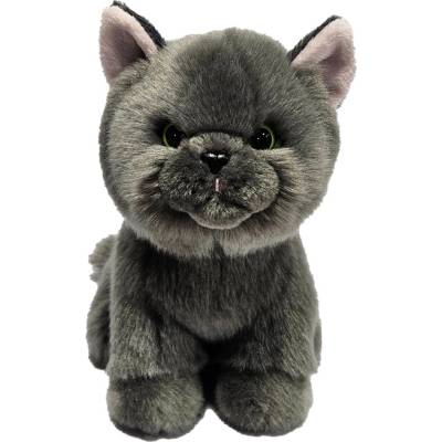 Silky Плюшена сива персийска котка