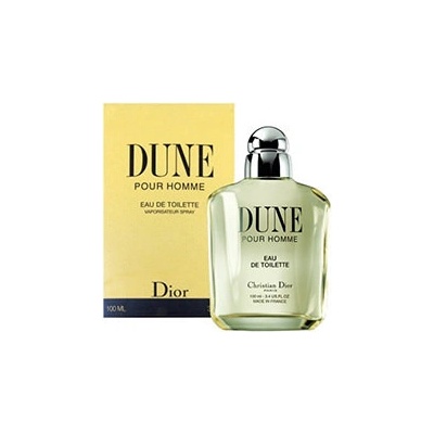 Christian Dior Dune toaletní voda pánská 100 ml