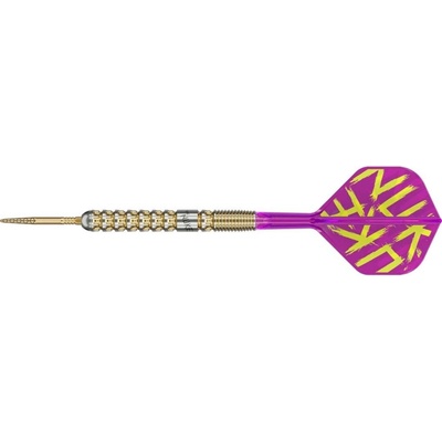 Steel šípky Target Luke Littler G1 Prodigy, SP 24g