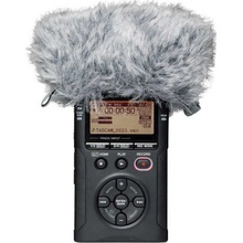 Tascam WS-11