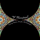 OF MONTREAL - HISSING FAUNA, ARE YOU THE DESTROYER ?