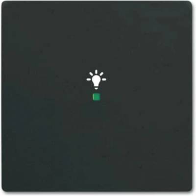 Busch-Jaeger 2CKA006220A0499