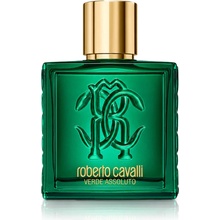 Roberto Cavalli Uomo Verde Assoluto parfumovaná voda pánska 100 ml