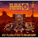 Public Enemy: What You Gonna Do When The Grid Goes Down CD