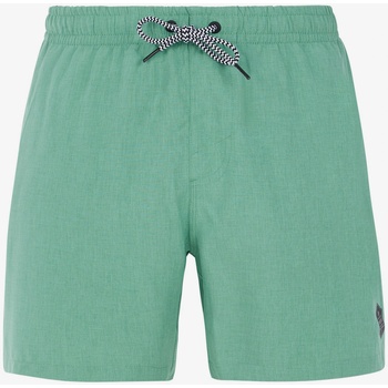 Protest Протестни мъжки плажни шорти DAVEY Protest | Zelen | МЪЖЕ | S