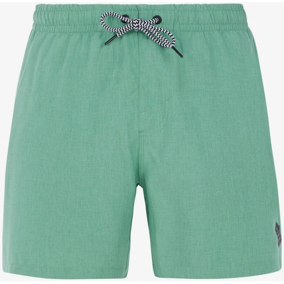 Protest Протестни мъжки плажни шорти DAVEY Protest | Zelen | МЪЖЕ | S