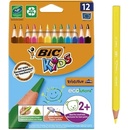 Bic Evolution Triangle 12 barev BIC 8871463