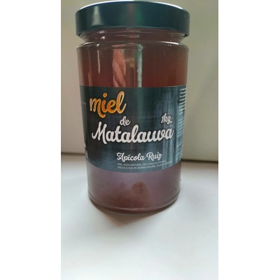 Apícola Ruiz Med divoký anýz 1kg