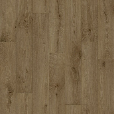 Beaulieu Montana 2528 3 m 1 m²