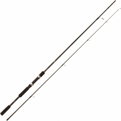 Shimano FX XT 2,4 m 10-30 g 2 díly