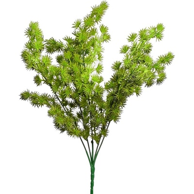 ZÁPICH ASPARAGUS UMBELLATUS 36CM