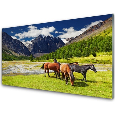 Obraz plexi Hory stromy kone zvieratá 100x50 cm