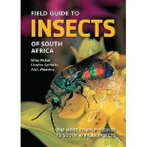 Field Guide to Insects of South Africa (ISBN: 9781775845843)