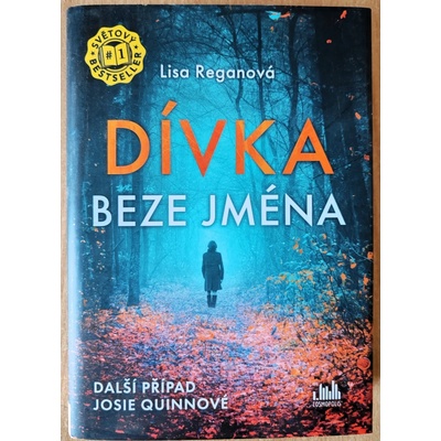 Dívka beze jména - Lisa Reganová