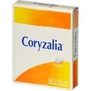 CORYZALIA POR TBL OBD 40