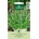 Seklos Непета (Котешка трева Коча билка) Nepeta cataria
