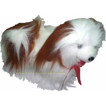 Image 1 of Куче музикално с дълъг косъм