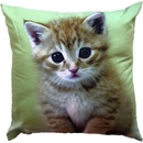 Dadka vankúš Mačiatko na zelenom 40x40
