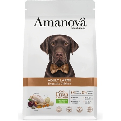 Amanova Dog Large Chicken & Quinoa LG 12 kg