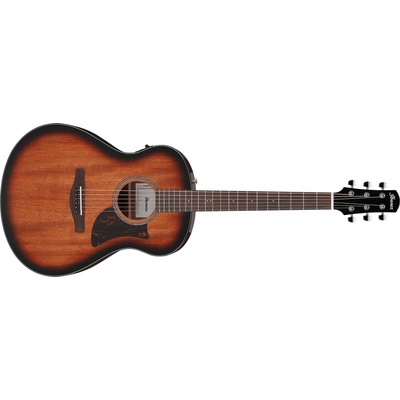 Ibanez AAM140E