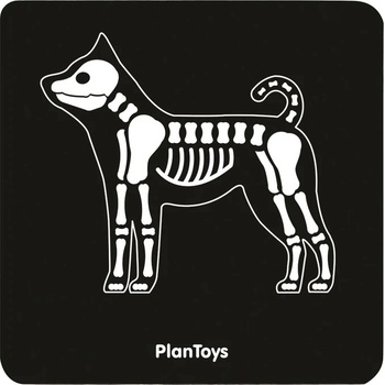 Plan Toys Veterinářský set