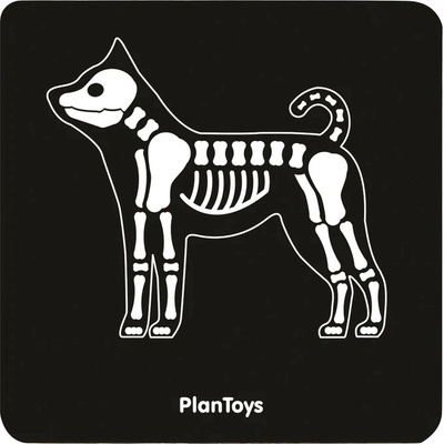 Plan Toys Veterinářský set