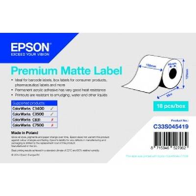 Epson S045419