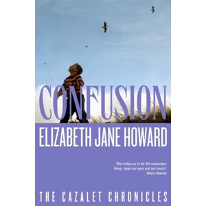 Confusion (ISBN: 9781035042463)
